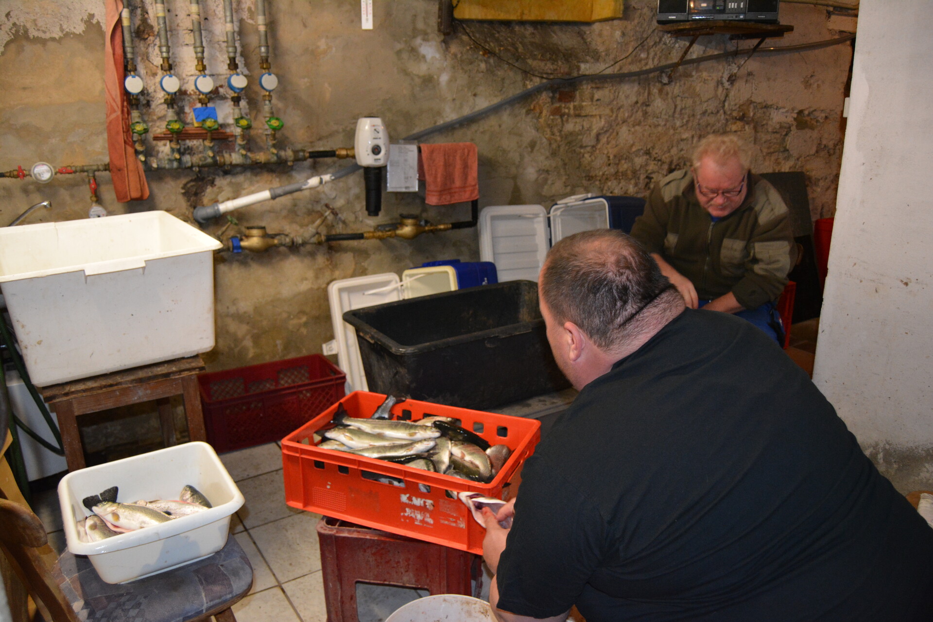 Galeriebild: Fische räuchern 002 1